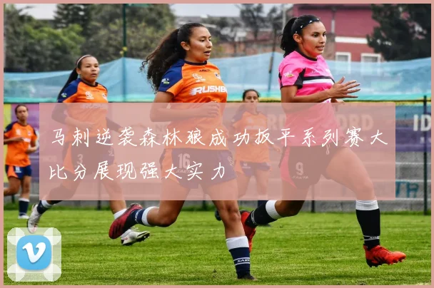马刺逆袭森林狼成功扳平系列赛大比分展现强大实力